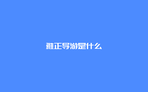 雅正导游是什么