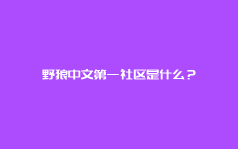 野狼中文第一社区是什么？