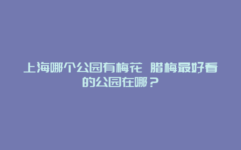 上海哪个公园有梅花 腊梅最好看的公园在哪？