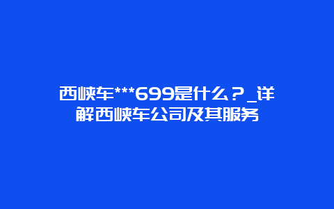 西峡车***699是什么？_详解西峡车公司及其服务