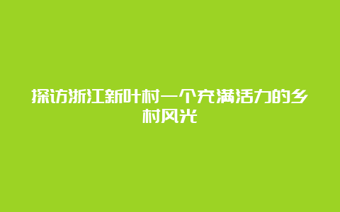 探访浙江新叶村一个充满活力的乡村风光