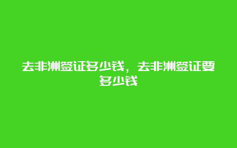 去非洲签证多少钱，去非洲签证要多少钱