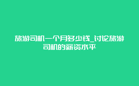 旅游司机一个月多少钱_讨论旅游司机的薪资水平