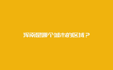 浑南是哪个城市的区域？