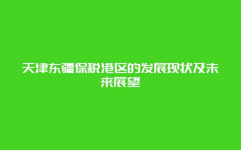 天津东疆保税港区的发展现状及未来展望