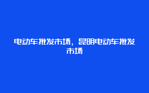 电动车批发市场，昆明电动车批发市场