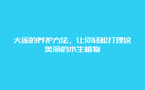 大莲的养护方法，让你轻松打理这美丽的水生植物