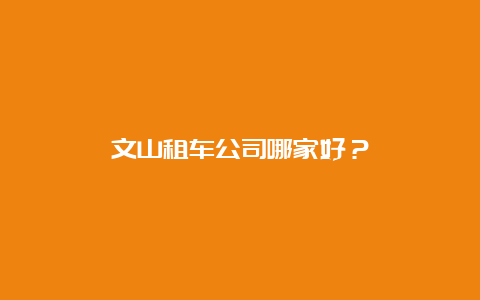 文山租车公司哪家好？