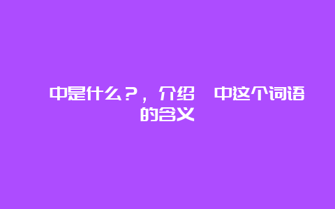 峒中是什么？，介绍峒中这个词语的含义