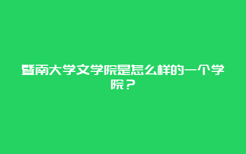 暨南大学文学院是怎么样的一个学院？