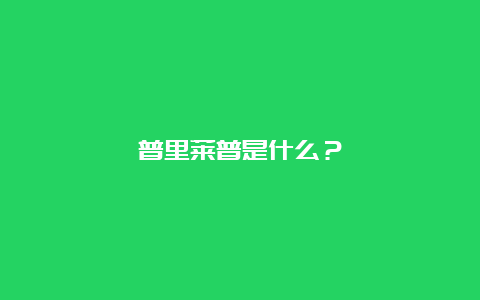 普里莱普是什么？