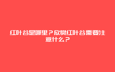 红叶谷是哪里？欣赏红叶谷需要注意什么？