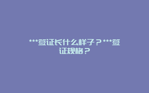 ***签证长什么样子？***签证规格？