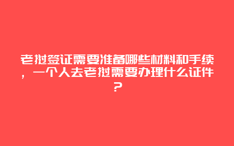 老挝签证需要准备哪些材料和手续，一个人去老挝需要办理什么证件？