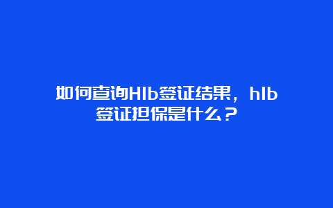 如何查询H1b签证结果，h1b签证担保是什么？