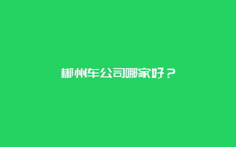 郴州车公司哪家好？