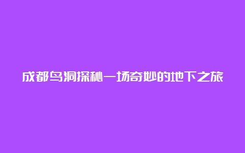 成都鸟洞探秘一场奇妙的地下之旅