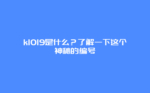 k1019是什么？了解一下这个神秘的编号