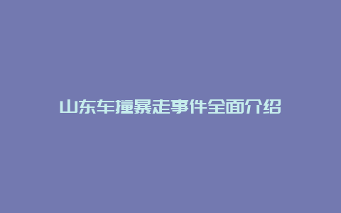 山东车撞暴走事件全面介绍