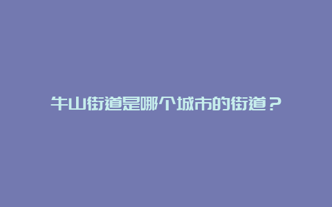 牛山街道是哪个城市的街道？