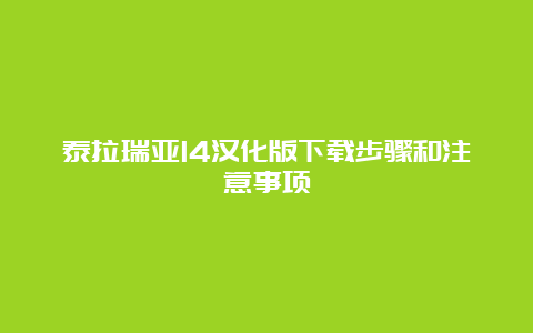 泰拉瑞亚14汉化版下载步骤和注意事项