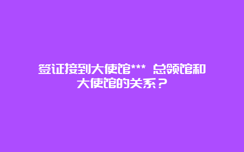 签证接到大使馆*** 总领馆和大使馆的关系？