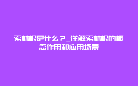 索林根是什么？_详解索林根的概念作用和应用场景