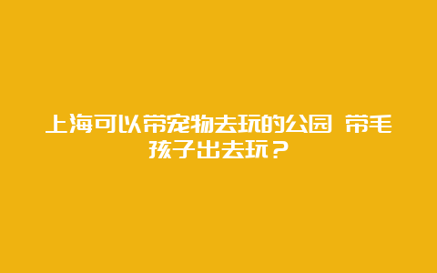 上海可以带宠物去玩的公园 带毛孩子出去玩？