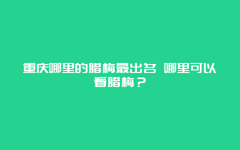 重庆哪里的腊梅最出名 哪里可以看腊梅？