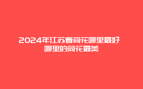 2024年江苏看荷花哪里最好 哪里的荷花最美