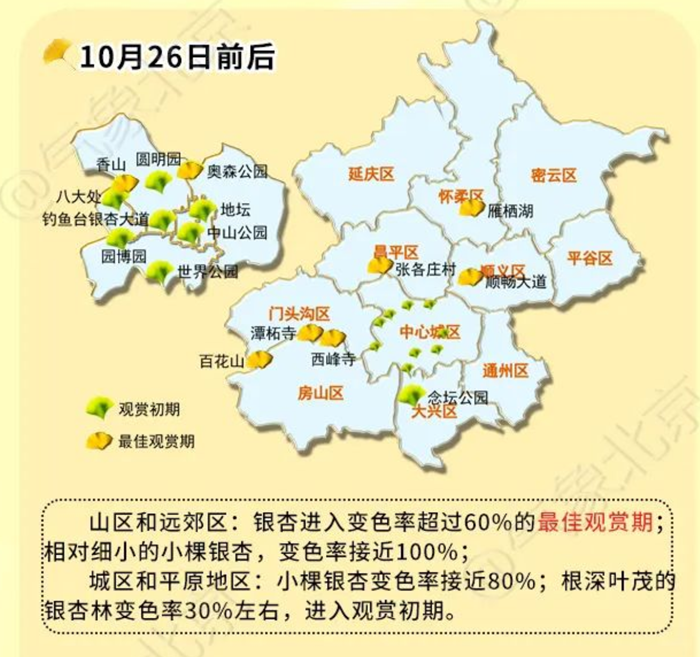 2024年北京银杏观赏期预报图