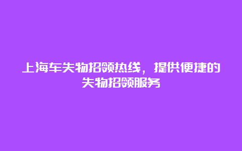 上海车失物招领热线，提供便捷的失物招领服务