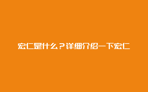 宏仁是什么？详细介绍一下宏仁