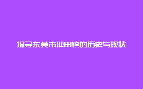 探寻东莞市沙田镇的历史与现状