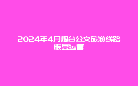 2024年4月烟台公交旅游线路恢复运营