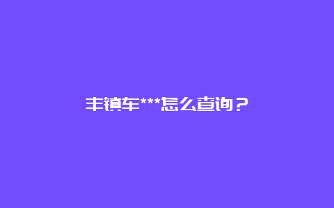 丰镇车***怎么查询？