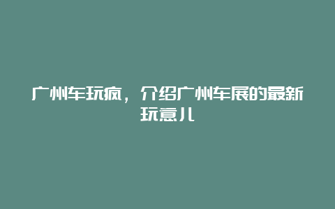 广州车玩疯，介绍广州车展的最新玩意儿