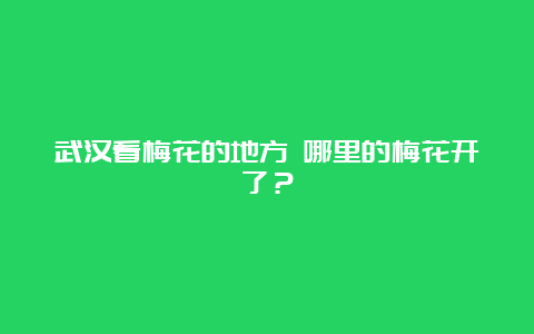 武汉看梅花的地方 哪里的梅花开了？