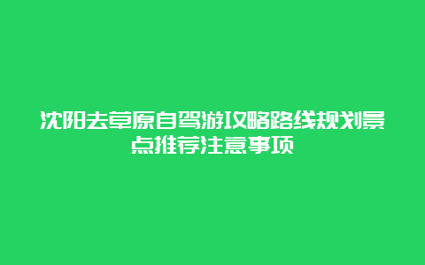 沈阳去草原自驾游攻略路线规划景点推荐注意事项