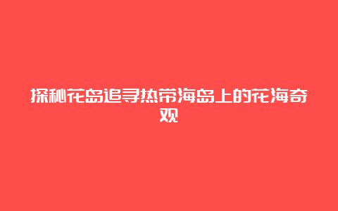 探秘花岛追寻热带海岛上的花海奇观