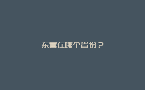 东营在哪个省份？