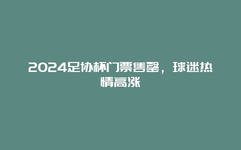 2024足协杯门票售罄，球迷热情高涨