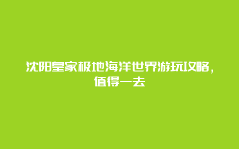 沈阳皇家极地海洋世界游玩攻略，值得一去