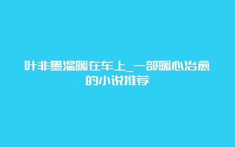 叶非墨温暖在车上_一部暖心治愈的小说推荐