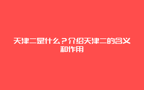 天津二是什么？介绍天津二的含义和作用