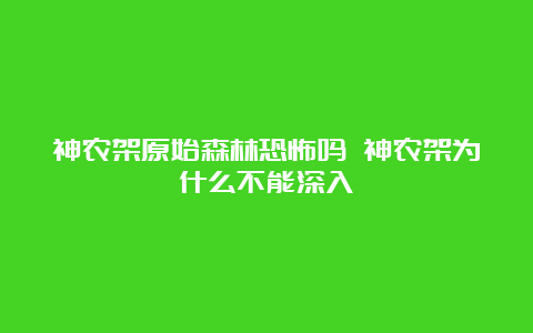 神农架原始森林恐怖吗 神农架为什么不能深入