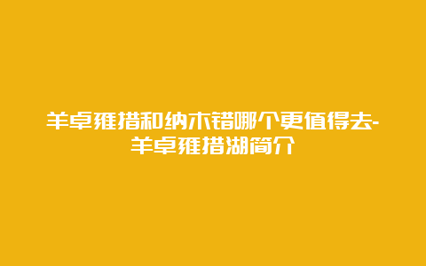 羊卓雍措和纳木错哪个更值得去-羊卓雍措湖简介