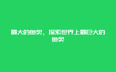 最大的鱼类，探索世界上最巨大的鱼类