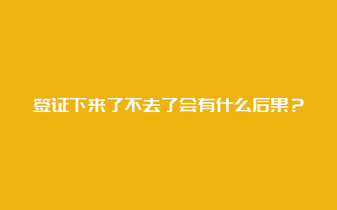 签证下来了不去了会有什么后果？