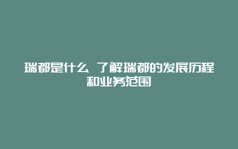 瑞都是什么 了解瑞都的发展历程和业务范围